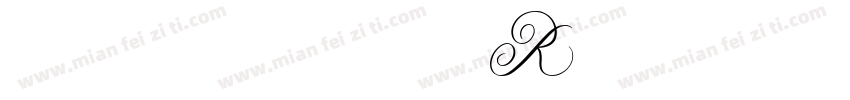 opppsan R字体转换